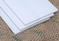 Plexi/Perspex faceplate covers for guitar amp