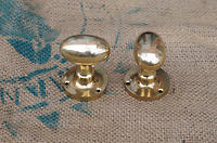 Brass Ovoid Door Handles