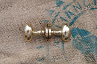 Brass Ovoid Door Handles