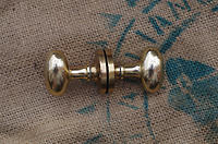Brass Ovoid Door Handles