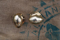 Brass Ovoid Door Handles